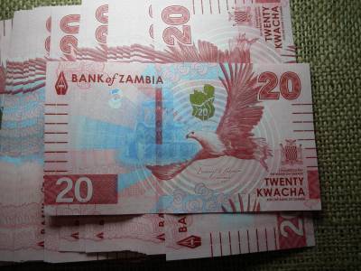 Zambia 20 kwacha 2024 - 2025 új  , UNC - aUNC hajtatlan ! Ár / db ! Több darab esetén sorszámkövetőben kapja a vevő 