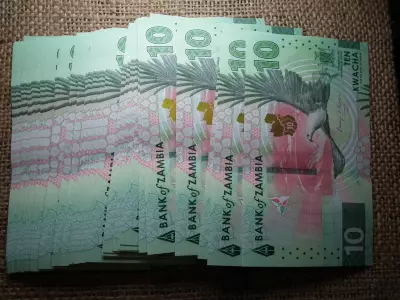 Zambia 10 kwacha 2024 - 2025 új  , UNC - aUNC hajtatlan ! Ár / db ! Több darab esetén sorszámkövetőben kapja a vevő 
