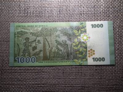 Szíria 1000 pounds 2013 UNC, font , C1