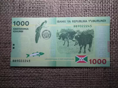 Burundi 1000 francs 2015 UNC , C1