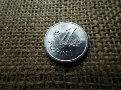 1 forint 1989 Sugaras , verdehibás , verdefényes 