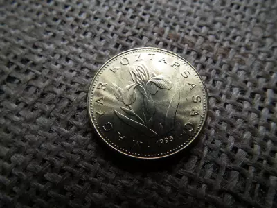 20 forint 1995 , verdefényes 