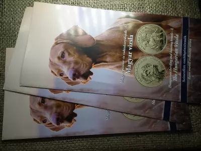 Magyar Vizsla Prospektus MNB kiadvány 2019 , ( 2000 forint 2019 ) ár / db
