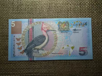 Suriname 5 gulden 2000 , hajtatlan 