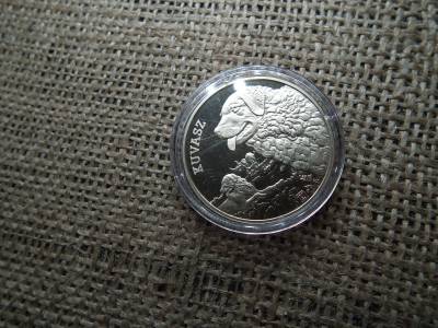 Magyarország, 3000 forint 2025 PP - Kuvasz UNC