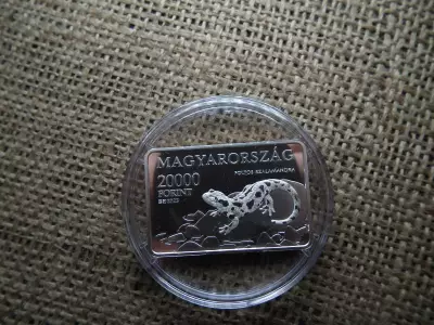 Aggteleki Nemzeti Park 20000 forint PP ezüst emlékérme 2025 UNC