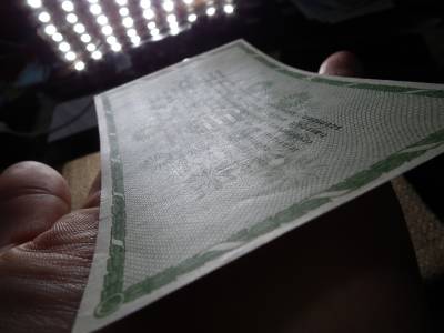 Ötvenezer adópengő 1946 , vízjel nélküli Ötvenezer adópengő 1946 , vízjel nélküli