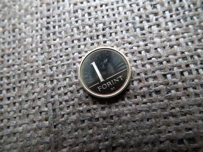 1 forint 2006 PP 