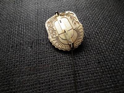 Vitézi rend , Vitézi Nagyjelvény , jelvény ! Eredeti , jelzett Vitézi rend , Vitézi Nagyjelvény , jelvény ! Eredeti , jelzett