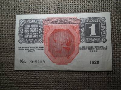 1 korona 1916 , felülbélyegzés nélkül 