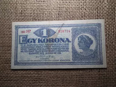 1 korona 1920 